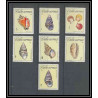 183a Cuba ** MNH N° 1009/1015 Coquillages shell shells