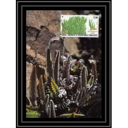 1235 TAAF Antarctic terres australes carte maximum 131 fleurs plante TAAF Antarctic terres australes Lettre maximum