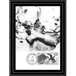 1239 TAAF Antarctic terres australes carte maximum 132 petrel oiseaux (birds) TAAF Antarctic terres australes