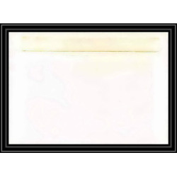 1602 fish cnn l'astrobale 3/12/1989 TAAF Antarctic terres australes Lettre (cover)