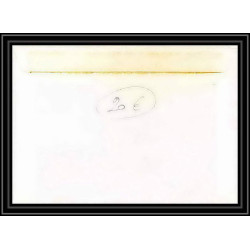 1646 mindwinter 40ème 21/6/1989 amsterdam TAAF Antarctic terres australes Lettre (cover)