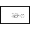 2500 terres australes TAAF lettre cover Dufresne 2 Signé signed N°392 CROZET 42 ème mission 8/3/2005 coin de feuille