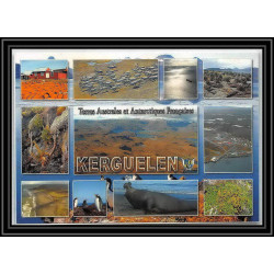 2573 ANTARCTIC terres australes (taaf)-CARTE POSTALE Dufresne 2