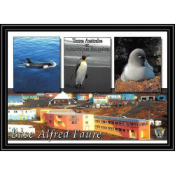 2635 ANTARCTIC terres australes (taaf)-carte postale Dufresne 2 Signé signed OP 2006/1 N°446 24/3/2006