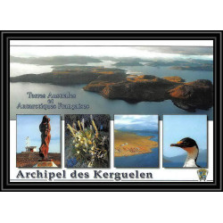 2637 ANTARCTIC terres australes (taaf)-carte postale Dufresne 2 Signé signed OP 2006/3 N°446 16/11/2006