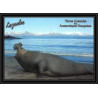2639 ANTARCTIC terres australes (taaf)-carte postale Dufresne 2 Signé signed OP 2006/2 N°447 20/9/2006
