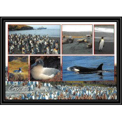 2640 ANTARCTIC ILE MAURICE (taaf)-carte postale Dufresne 2 Signé signed 10/11/2006 N°449