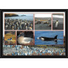 2640 ANTARCTIC ILE MAURICE (taaf)-carte postale Dufresne 2 Signé signed 10/11/2006 N°449