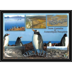 2743 ANTARCTIC terres australes (taaf)-carte postale Dufresne 2 Signé signed op 2007/1 N°448 KERGUELEN 17/4/2007