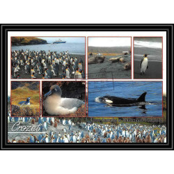2745 ANTARCTIC terres australes (taaf)-carte postale Dufresne 2 Signé signed op 2007/2 N°447 CROZET 23/8/2007