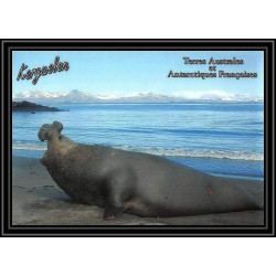 2746 ANTARCTIC terres australes (taaf)-carte postale Dufresne 2 Signé signed op 2007/2 N°450 KERGUELEN 28/8/2007