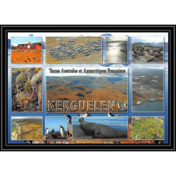 2753 ANTARCTIC terres australes (taaf)-carte postale Dufresne 2 Signé signed op 2007/4 N°447 KERGUELEN 12/12/2007