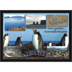 2760 ANTARCTIC terres australes (taaf)-carte postale Dufresne 2 Signé signed op 2007/3 N°467 KERGUELEN 13/11/2007