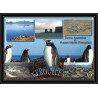 2760 ANTARCTIC terres australes (taaf)-carte postale Dufresne 2 Signé signed op 2007/3 N°467 KERGUELEN 13/11/2007