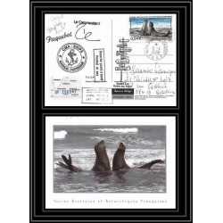 2792 ANTARCTIC terres australes (taaf)-carte postale Dufresne 2 Signé signed op 2008/1 crozet N° 509 2008 sea elephant
