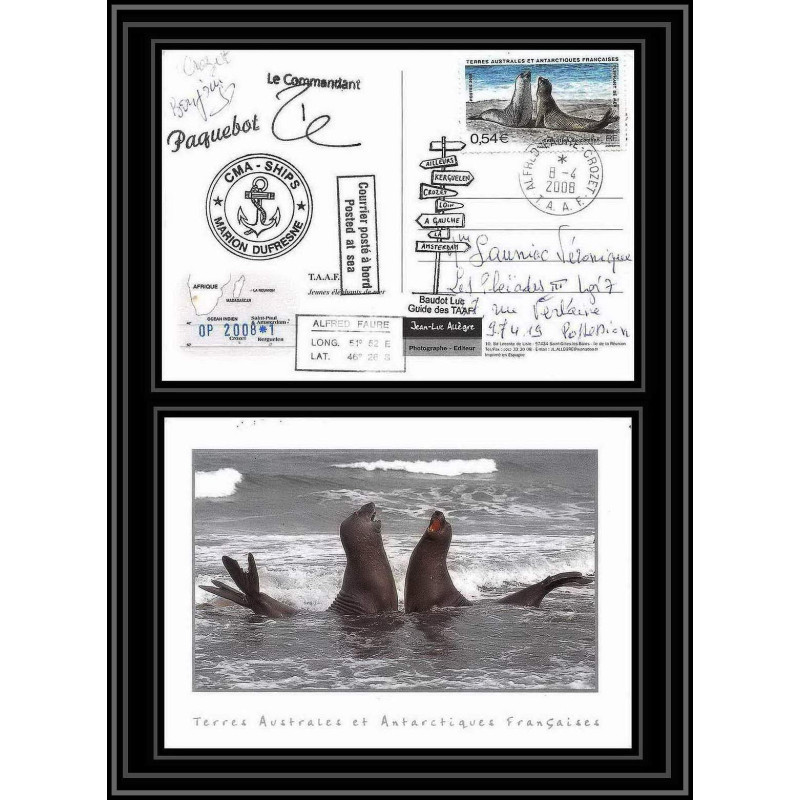 2792 ANTARCTIC terres australes (taaf)-carte postale Dufresne 2 Signé signed op 2008/1 crozet N° 509 2008 sea elephant