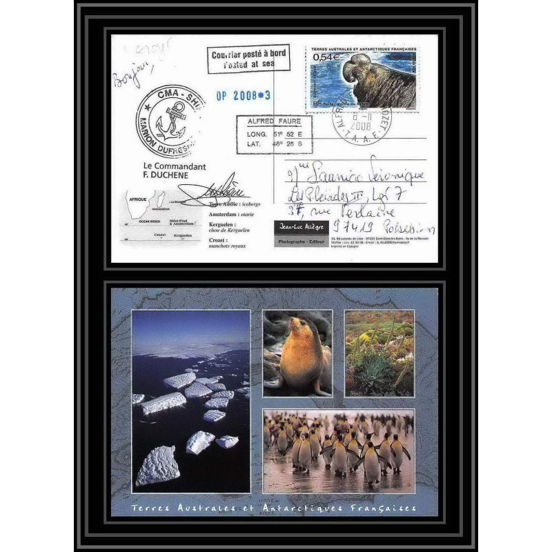 2800 sea elephant terres australes (taaf)-carte postale Dufresne 2 Signé signed op 2008/3 crozet N°511 8/11/2008