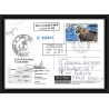 2800 sea elephant terres australes (taaf)-carte postale Dufresne 2 Signé signed op 2008/3 crozet N°511 8/11/2008