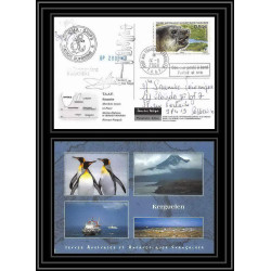 2801 sea elephant terres australes (taaf)-carte postale Dufresne 2 Signé signed op 2008/3 KERGUELEN N°508 14/11/2008
