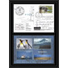 2801 sea elephant terres australes (taaf)-carte postale Dufresne 2 Signé signed op 2008/3 KERGUELEN N°508 14/11/2008