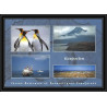 2801 sea elephant terres australes (taaf)-carte postale Dufresne 2 Signé signed op 2008/3 KERGUELEN N°508 14/11/2008
