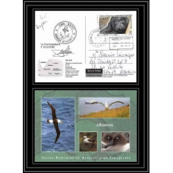 2802 sea elephant terres australes (taaf)-carte postale Dufresne 2 Signé signed op 2008/3 st paul N°510 21/11/2008