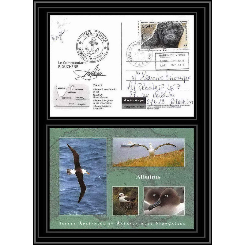 2802 sea elephant terres australes (taaf)-carte postale Dufresne 2 Signé signed op 2008/3 st paul N°510 21/11/2008