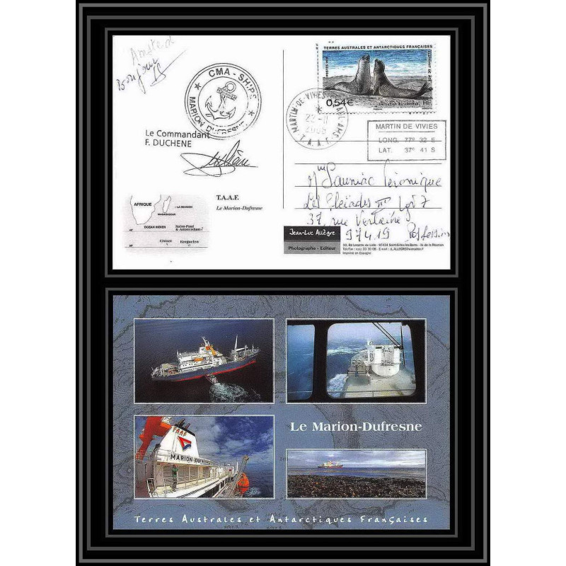 2803 sea elephant terres australes (taaf)-carte postale Dufresne 2 Signé signed op 2008/3 st paul N°509 21/11/2008