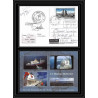 2803 sea elephant terres australes (taaf)-carte postale Dufresne 2 Signé signed op 2008/3 st paul N°509 21/11/2008
