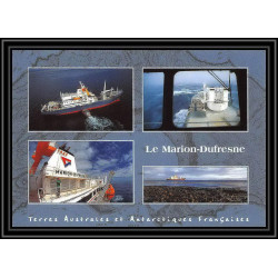 2803 sea elephant terres australes (taaf)-carte postale Dufresne 2 Signé signed op 2008/3 st paul N°509 21/11/2008