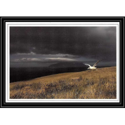 2940 ANTARCTIC terres australes (taaf)-carte postale Dufresne 2 Signé signed OP 2009/1 crozet 25/3/2009 N°514