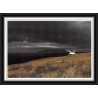 2940 ANTARCTIC terres australes (taaf)-carte postale Dufresne 2 Signé signed OP 2009/1 crozet 25/3/2009 N°514
