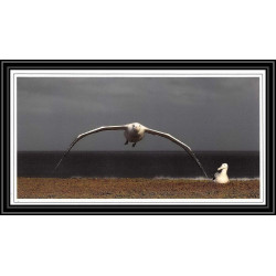 3014 ANTARCTIC terres australes (taaf)-carte postale Dufresne 2 Signé signed op 2010/2 crozet 25/8/2010