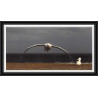 3014 ANTARCTIC terres australes (taaf)-carte postale Dufresne 2 Signé signed op 2010/2 crozet 25/8/2010