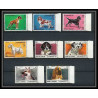 035 - Umm al Qiwain - Mi - N°210/217A ** Chiens (chien dog dogs) bord de feuille 