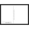 2264/ Carte maximum card France N°1570 TABLEAU (PAINTING) Auguste Renoir portrait 1968 edition hazan