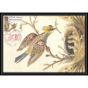 4491/ Carte maximum card France N°2612 Croix rouge (red cross) 1989 Soirie édition lyon fdc 1989 oiseaux birds