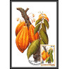 5851 Carte maximum card s tome e principe mi N°744/749 fruits fruts 1981 ananas café cacao mangue fdc coffee