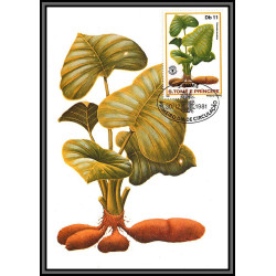 5851 Carte maximum card s tome e principe mi N°744/749 fruits fruts 1981 ananas café cacao mangue fdc coffee