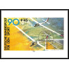 Allemagne (germany) - Carte maximum card 2102 - avion (plane planes avions) dur den SPORT 1981