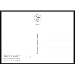 Belgique (Belgium) Carte maximum card 1616 - bruxelles rue de la régence synagogue 1978