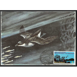 Nouvelle-Zélande (new zeland) - Carte maximum card (maximum card - 1837 oiseaux (bird birds oiseau) PETREL PLONGEUR