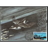 Nouvelle-Zélande (new zeland) - Carte maximum card (maximum card - 1837 oiseaux (bird birds oiseau) PETREL PLONGEUR
