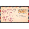 12092 wailuku / honolulu hilo hawai 8/10/1934 premier vol first flight lot 3 lettre airmail cover usa aviation