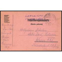 15934 allemagne feldpost N°167 ww1 guerre 14/18 wien osterreeich 1917 carte postcard 