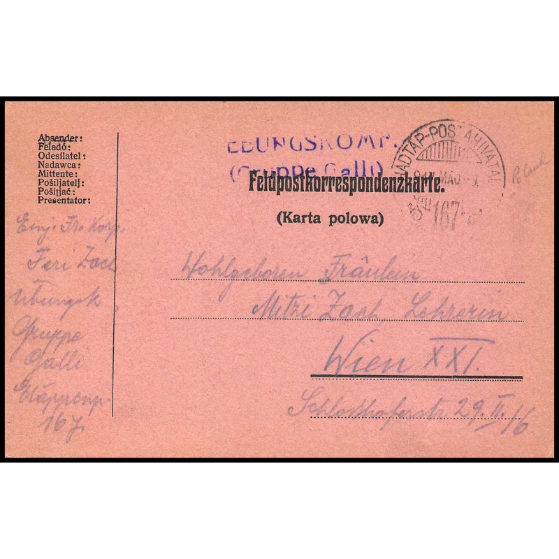 15934 allemagne feldpost N°167 ww1 guerre 14/18 wien osterreeich 1917 carte postcard 