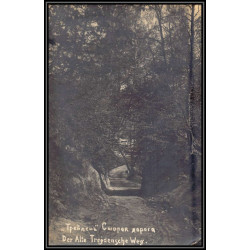 17099 1917 Kaiserlich-Königliches Feld-Gendarmerie guerre 14/18 ww1 feldpost allemagne latvia postcard