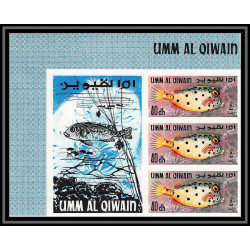246a - Umm al Qiwain MNH ** Mi N°180/188 B poissons (Fish poisson fishes) Non dentelé imperf bloc label
