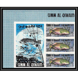 246a - Umm al Qiwain MNH ** Mi N°180/188 B poissons (Fish poisson fishes) Non dentelé imperf bloc label