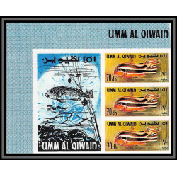246a - Umm al Qiwain MNH ** Mi N°180/188 B poissons (Fish poisson fishes) Non dentelé imperf bloc label